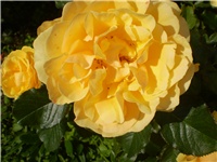 478d46d0-Picture 6545.jpg